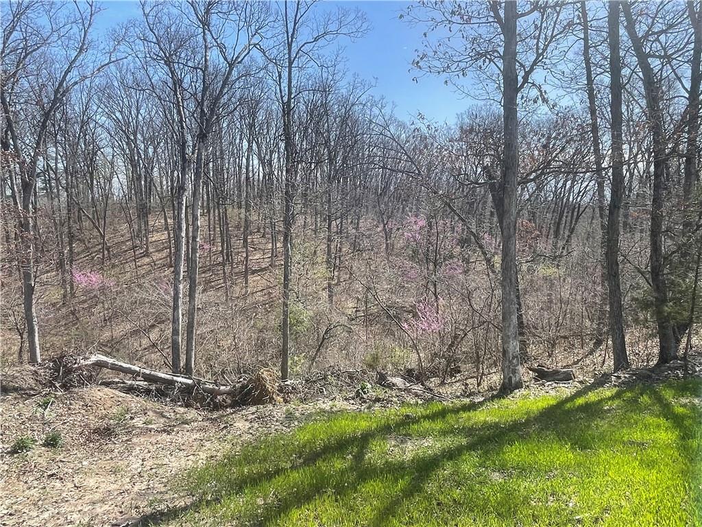 Higbee, Missouri 65257, United States, ,Land,Active,38383