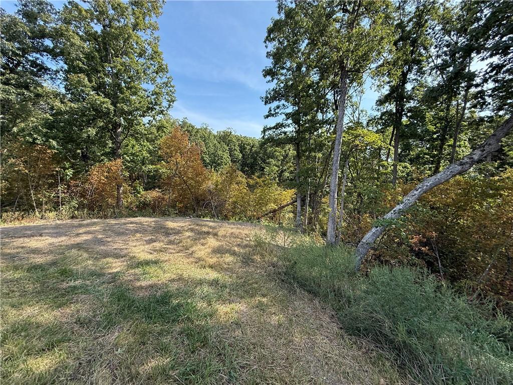 Higbee, Missouri 65257, United States, ,Land,Active,38383