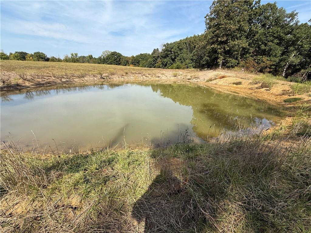 Higbee, Missouri 65257, United States, ,Land,Active,38383