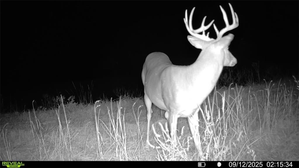 Higbee, Missouri 65257, United States, ,Land,Active,38383