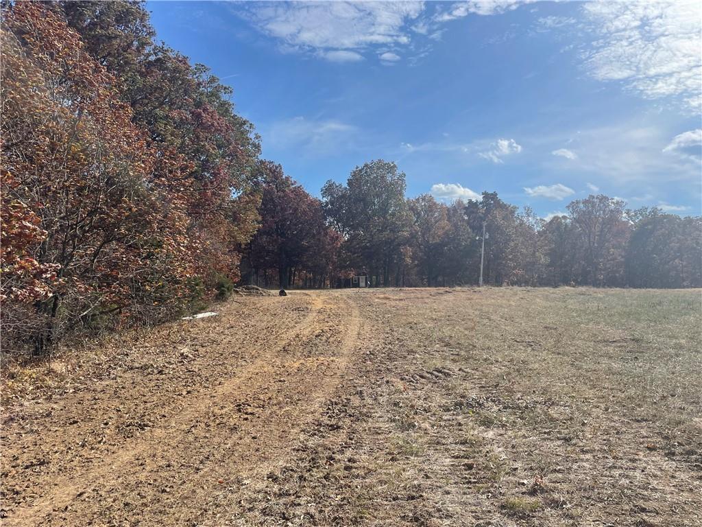 Higbee, Missouri 65257, United States, ,Land,Active,38383