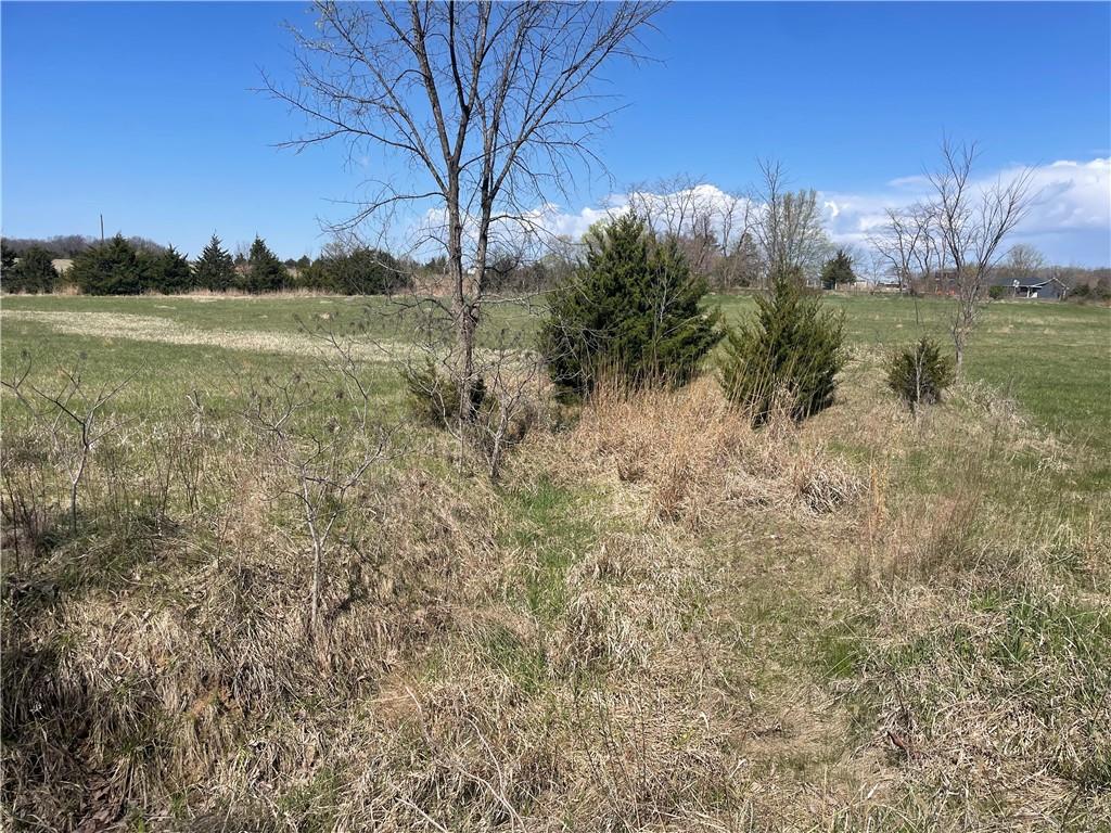 Higbee, Missouri 65257, United States, ,Land,Active,38383