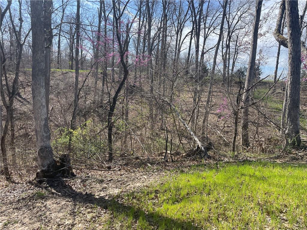 Higbee, Missouri 65257, United States, ,Land,Active,38383