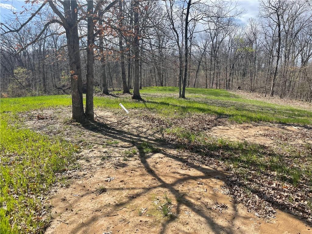 Higbee, Missouri 65257, United States, ,Land,Active,38383