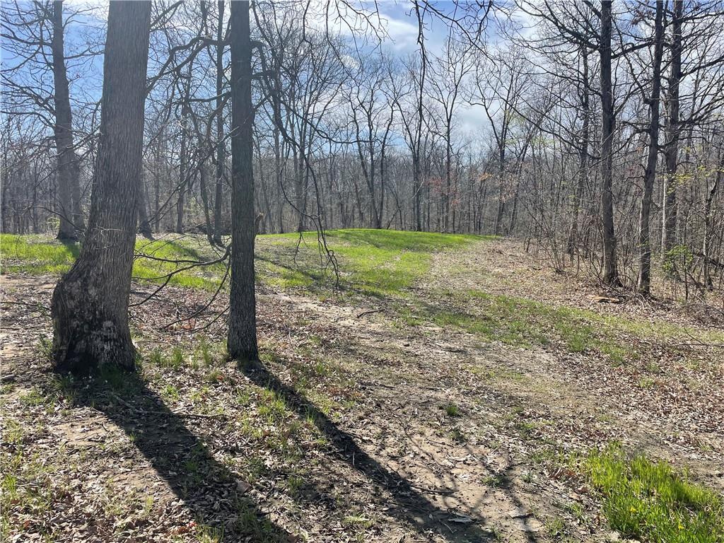 Higbee, Missouri 65257, United States, ,Land,Active,38383