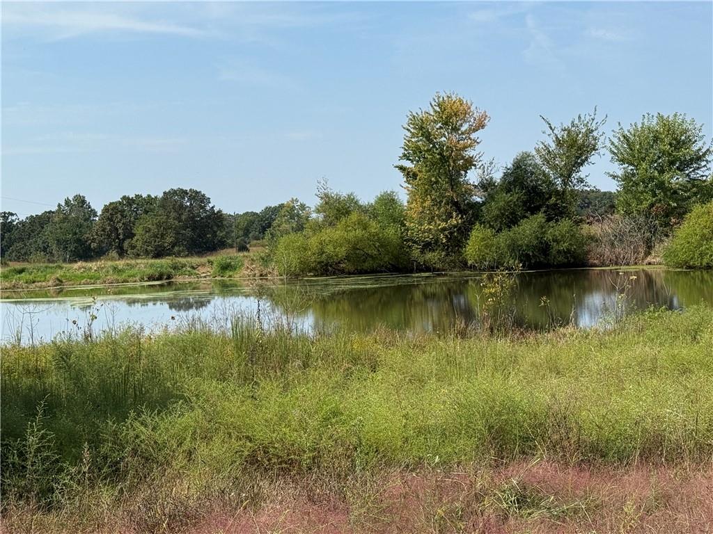 Higbee, Missouri 65257, United States, ,Land,Active,38383