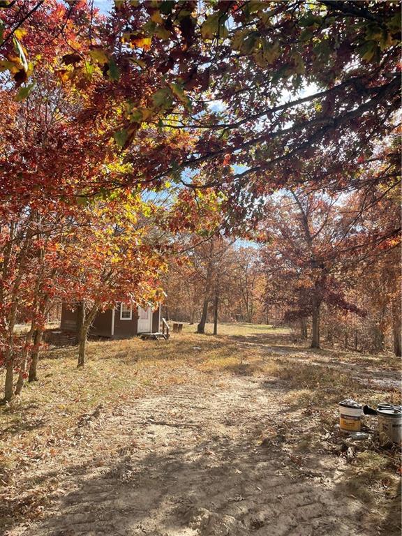 Higbee, Missouri 65257, United States, ,Land,Active,38383