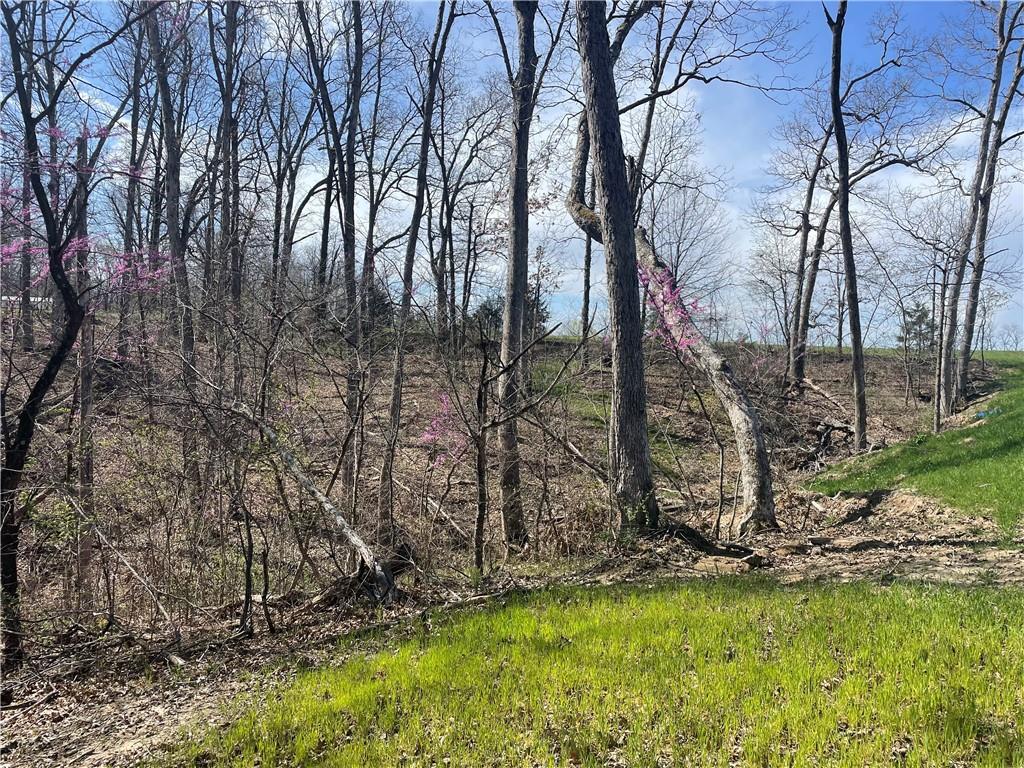 Higbee, Missouri 65257, United States, ,Land,Active,38383