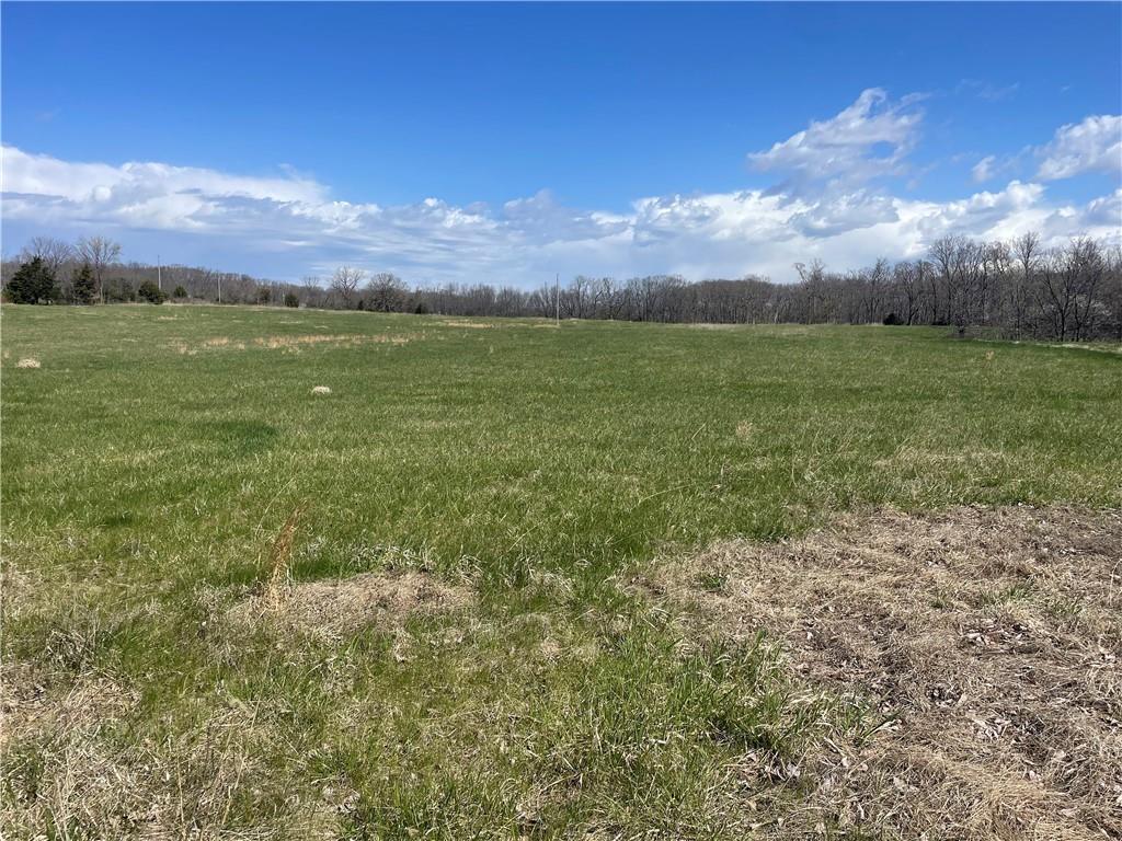 Higbee, Missouri 65257, United States, ,Land,Active,38383