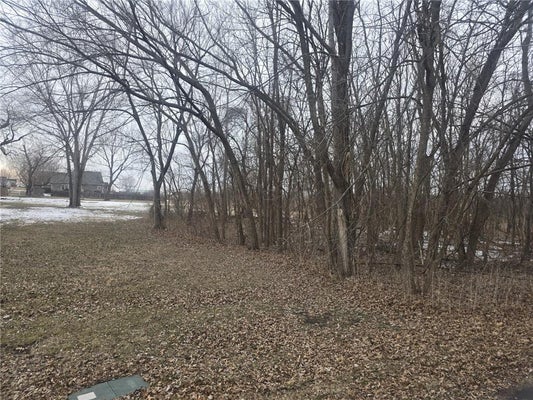 WASHINGTON ST, EAST LYNNE, MO 64743 - Image 2f5085e04ae7e237ef2c91b60502bbc3/143690526