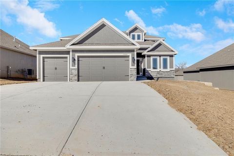 7004 NE 102nd Court Kansas City MO 64156