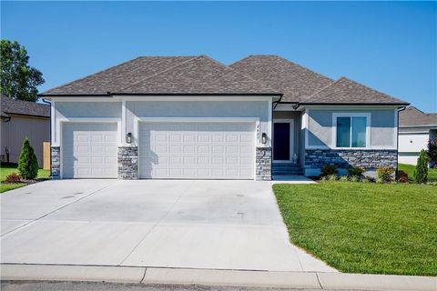 Photo of 2625 SW Summer Creek Place, Blue Springs, MO 64015 (MLS # 2584726)