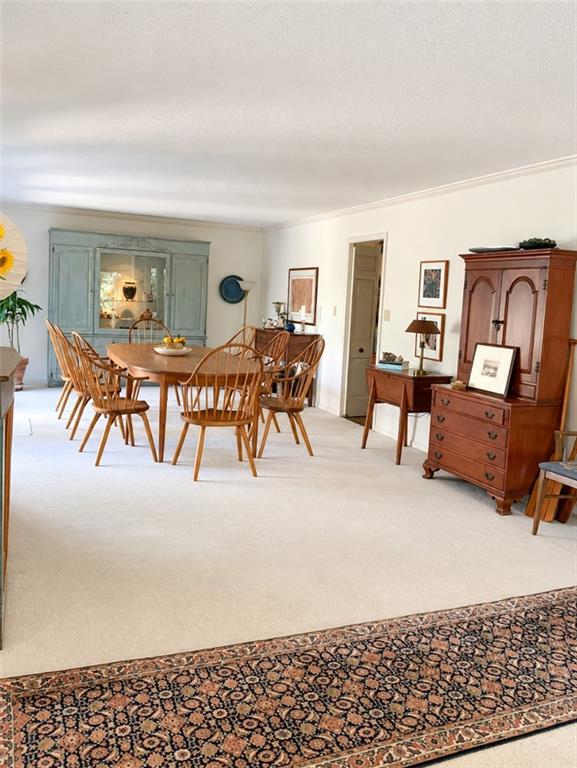 510 E Terrace Trail