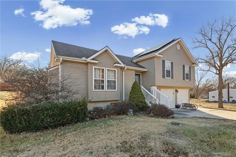 521 E 2nd Street Dearborn MO 64439