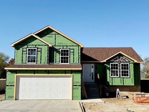 Photo of 1714 S Jackson Street, El Dorado Springs, MO 64744 (MLS # 2585379)