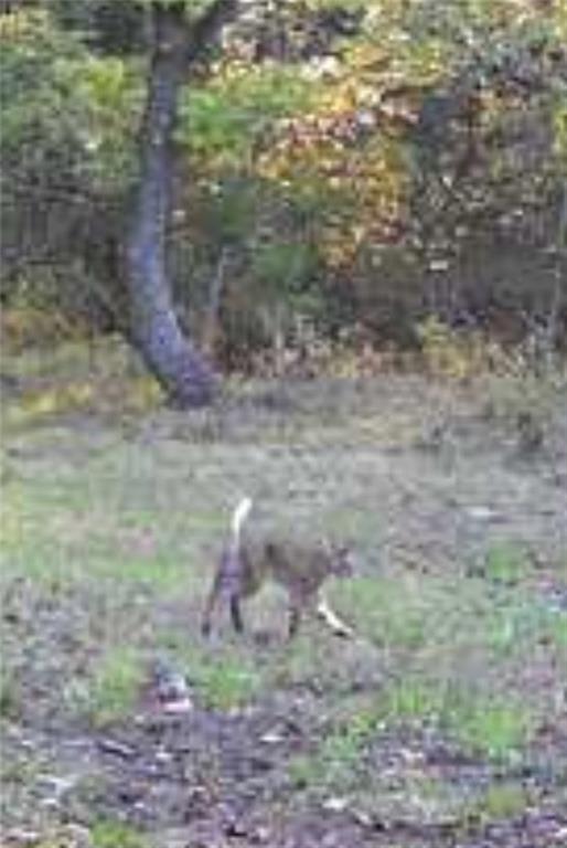 00000 W 363rd Street