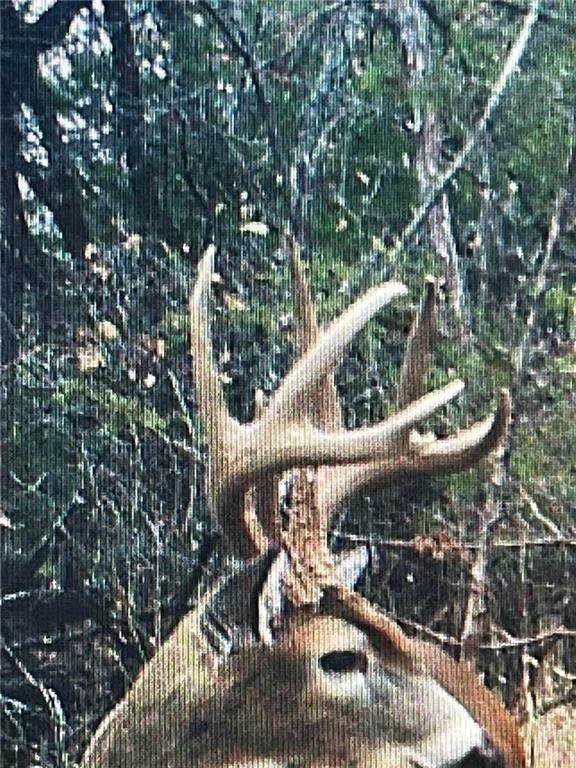 00000 W 363rd Street