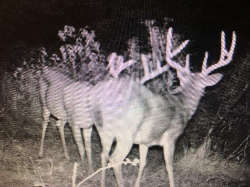 00000 W 363rd Street