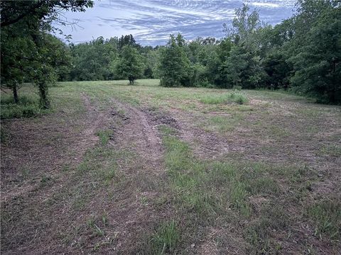 163xx E Panama Road Nevada MO 64772