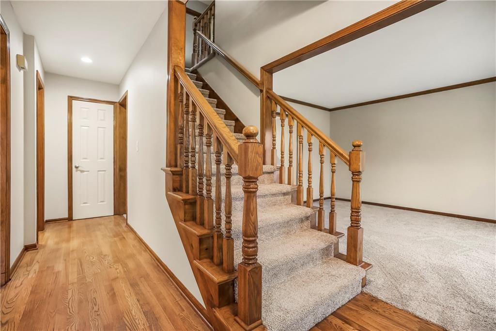 8004 Constance Street