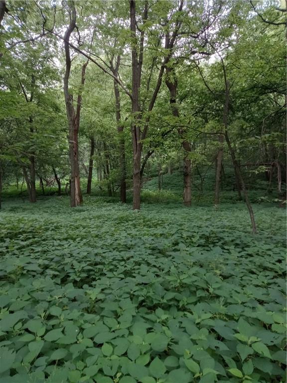 Fairfax, Missouri 64446, United States, ,Land,Active,188595