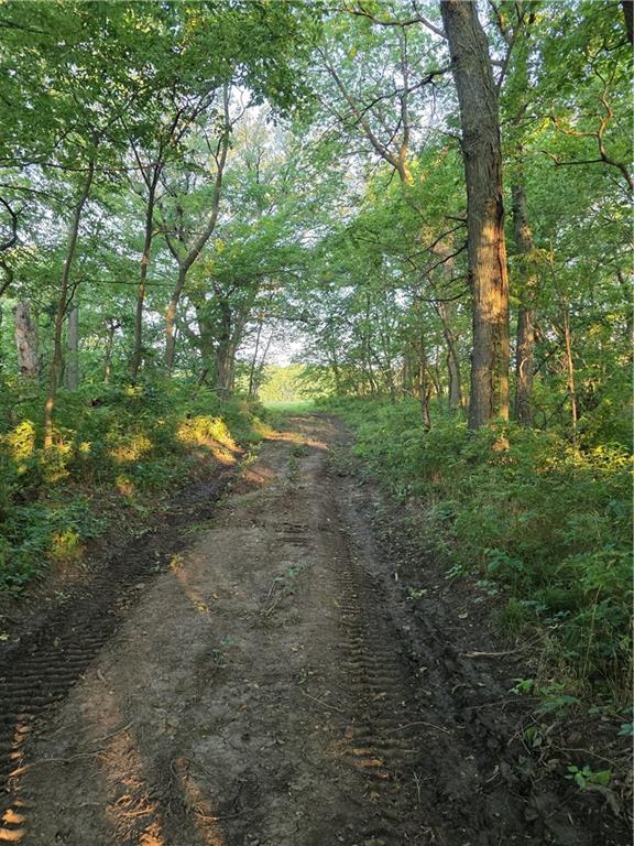 Fairfax, Missouri 64446, United States, ,Land,Active,188595