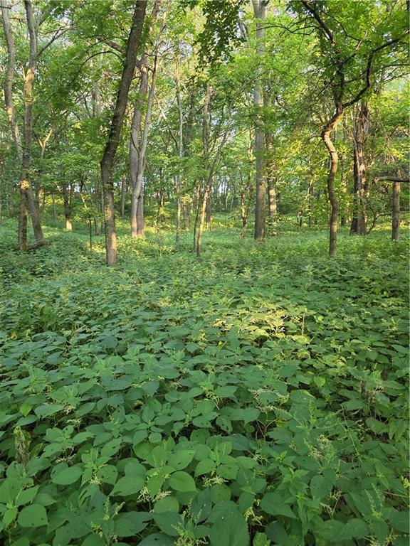 Fairfax, Missouri 64446, United States, ,Land,Active,188595