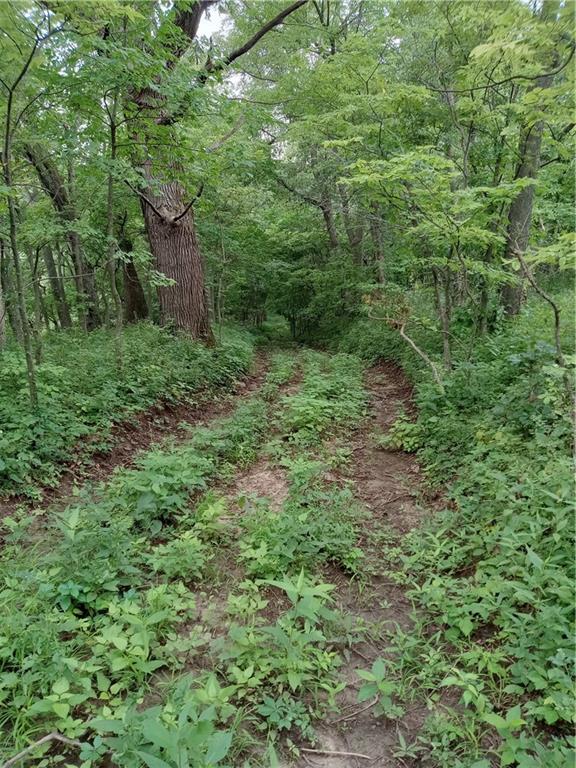 Fairfax, Missouri 64446, United States, ,Land,Active,188595