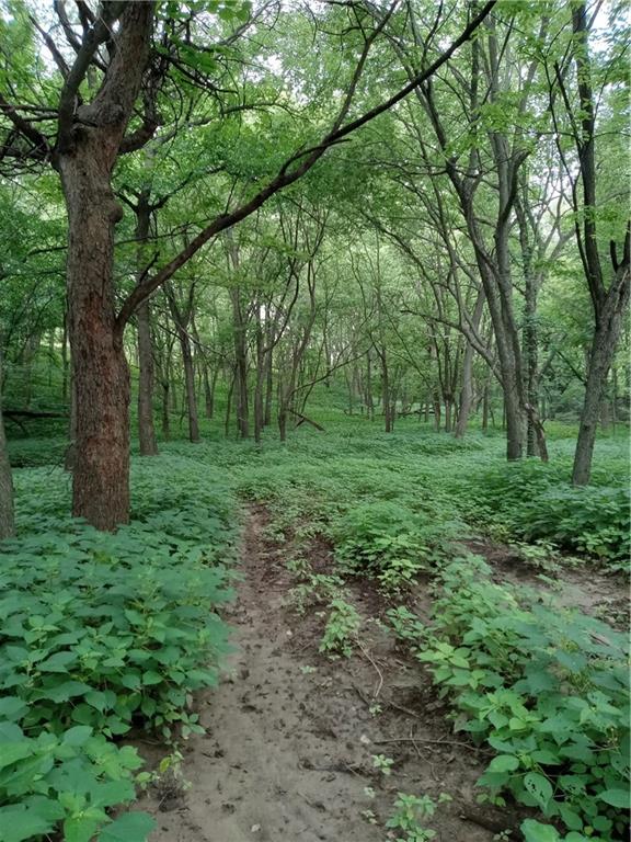 Fairfax, Missouri 64446, United States, ,Land,Active,188595