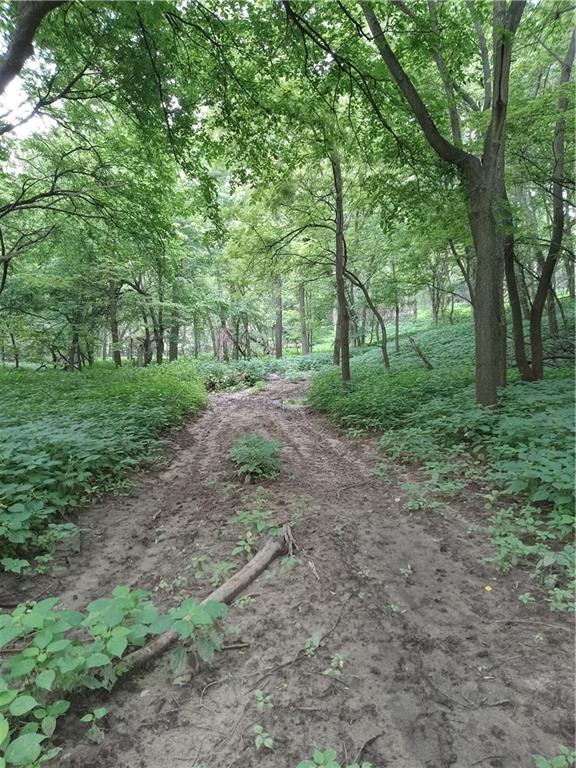 Fairfax, Missouri 64446, United States, ,Land,Active,188595