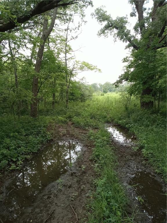 Fairfax, Missouri 64446, United States, ,Land,Active,188595