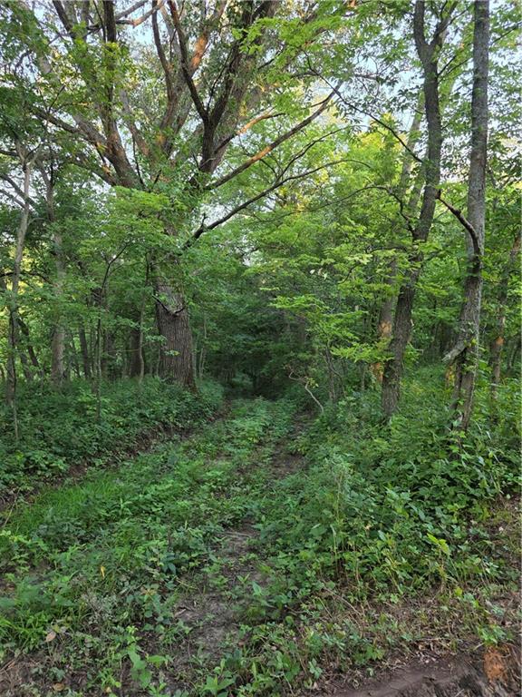 Fairfax, Missouri 64446, United States, ,Land,Active,188595