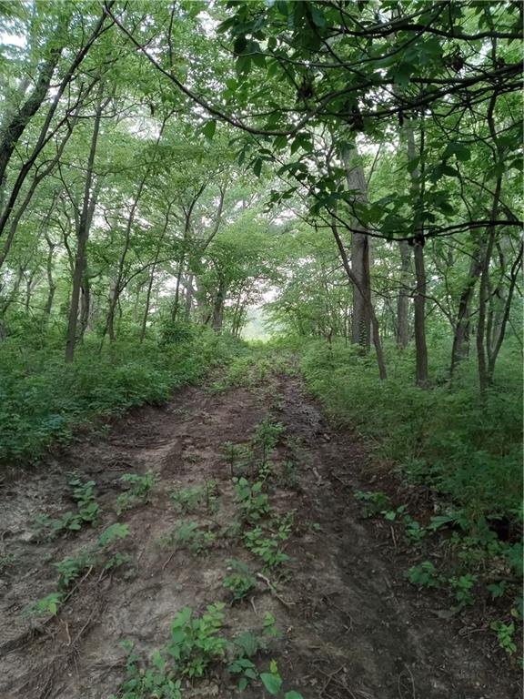 Fairfax, Missouri 64446, United States, ,Land,Active,188595