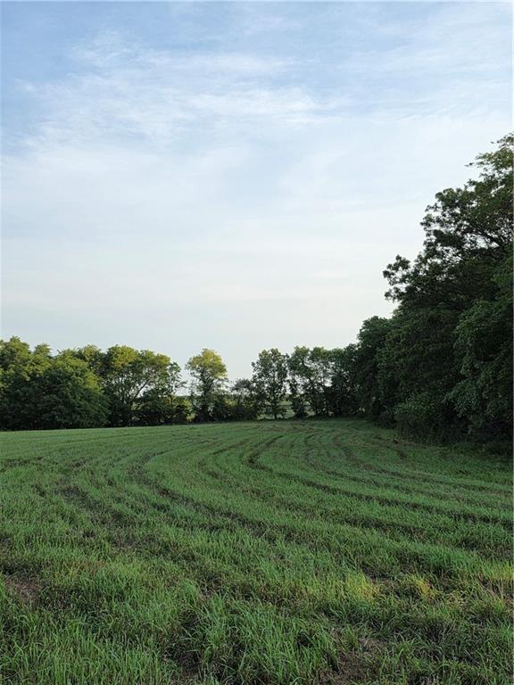 Fairfax, Missouri 64446, United States, ,Land,Active,188595