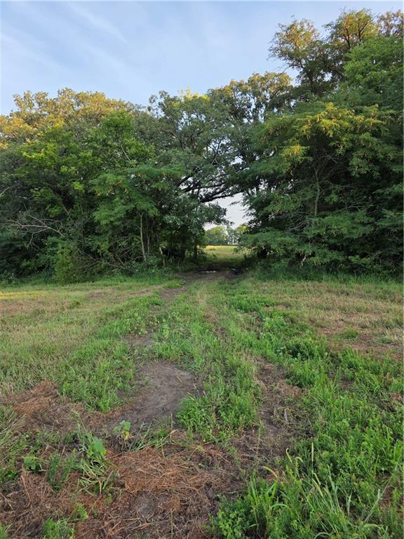 Fairfax, Missouri 64446, United States, ,Land,Active,188595