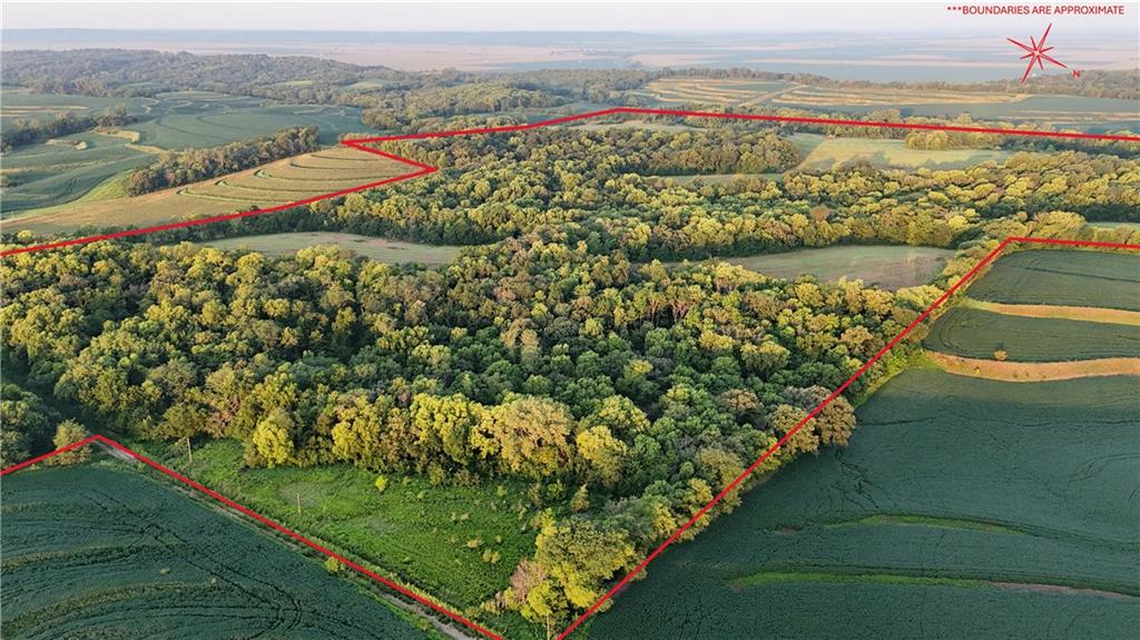 Fairfax, Missouri 64446, United States, ,Land,Active,188595