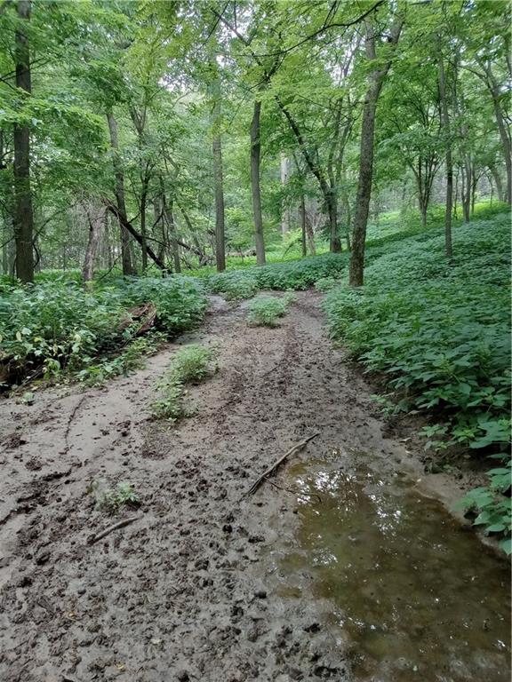 Fairfax, Missouri 64446, United States, ,Land,Active,188595