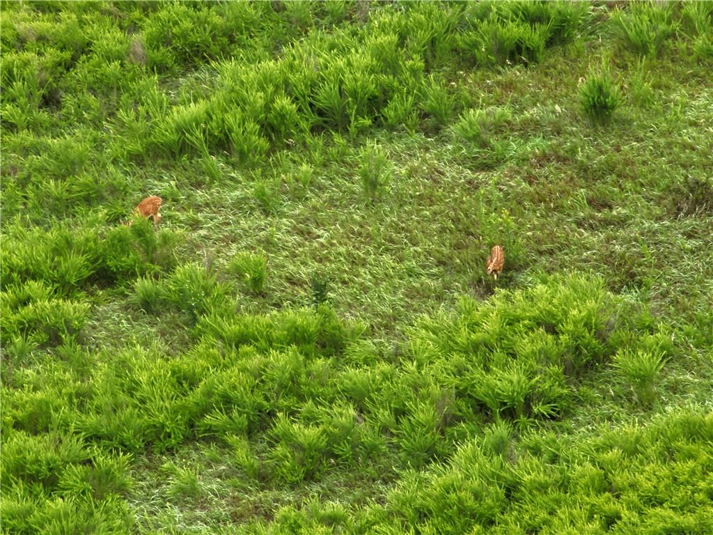 Fairfax, Missouri 64446, United States, ,Land,Active,188595