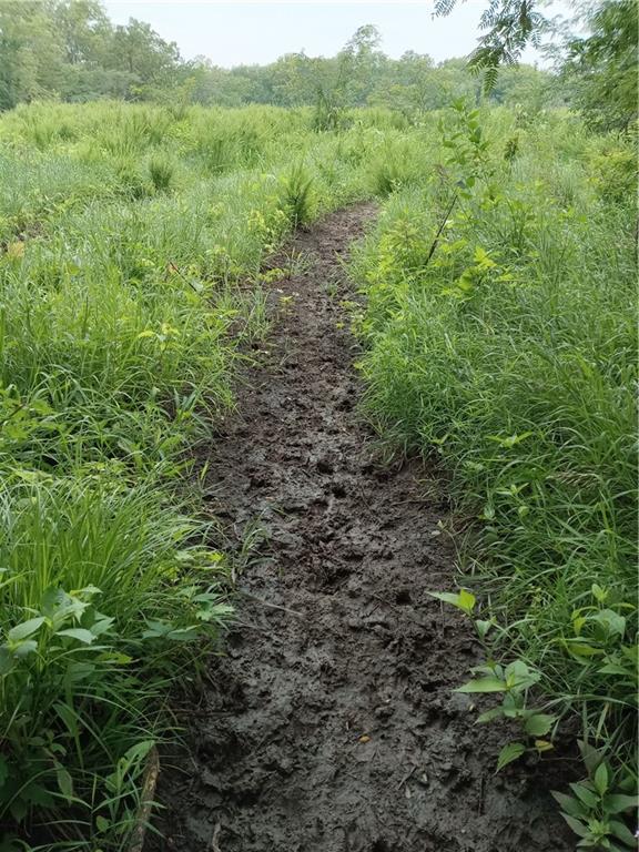 Fairfax, Missouri 64446, United States, ,Land,Active,188595