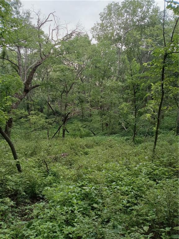 Fairfax, Missouri 64446, United States, ,Land,Active,188595