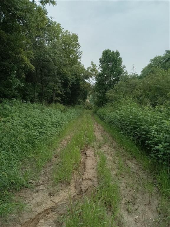 Fairfax, Missouri 64446, United States, ,Land,Active,188595