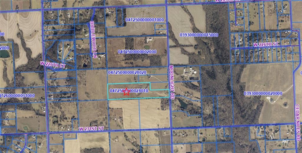 Moonlight (34+/- Acres) Road