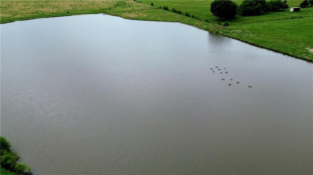 Moonlight (34+/- Acres) Road