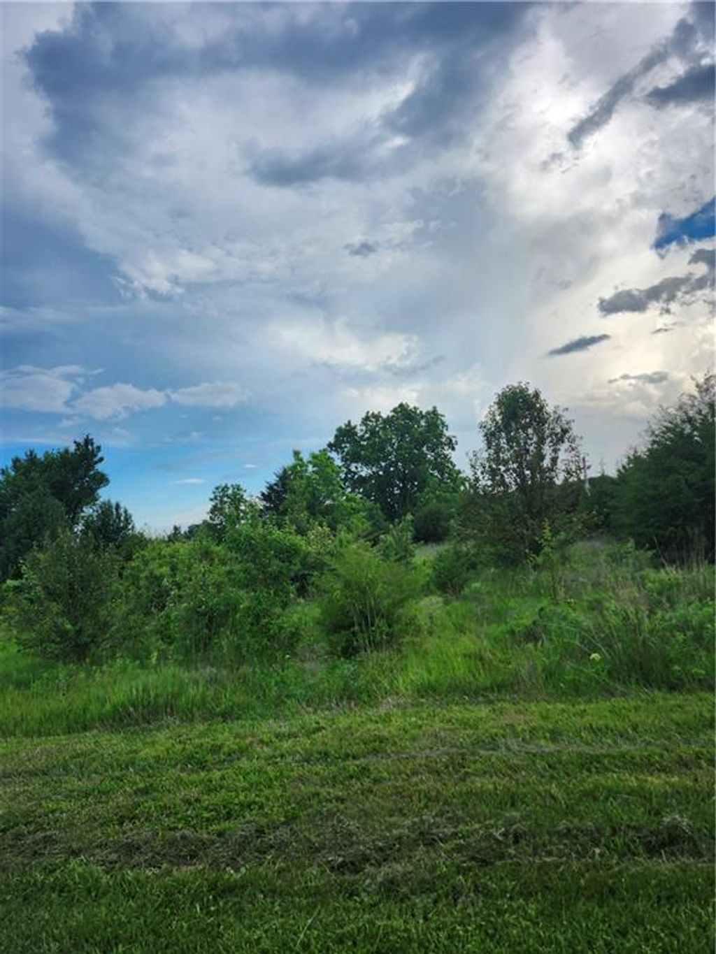 Photo of 22 Ravens Roost Drive, Linn Valley, KS 66040 (MLS # 2623606)