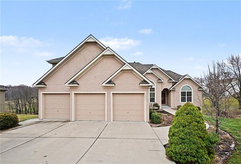 15423 N Mount Olivet Road Smithville MO 64089