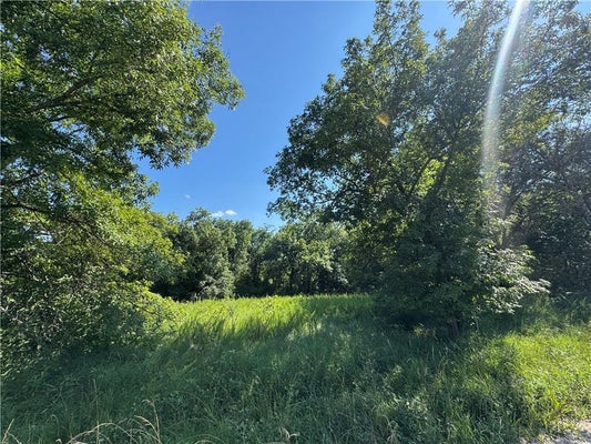 FISHING RIVER RD, LAWSON, MO 64062 - Image 4ec2b063430f60f8cdd066bab6dfd427/3792035620
