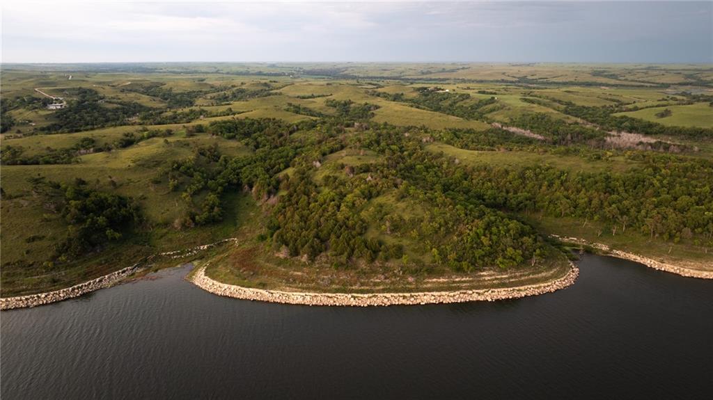 Wildflower Road Road