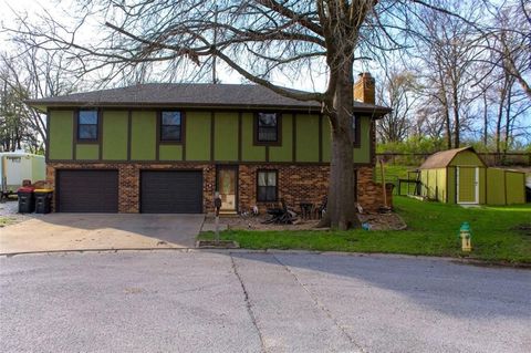 1108 Williams Street, Excelsior Springs, MO 64024 - #: 2612879