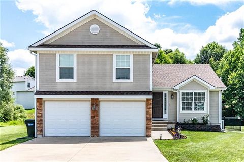 456 Ash Court, Warrensburg, MO 64093 - #: 2500360