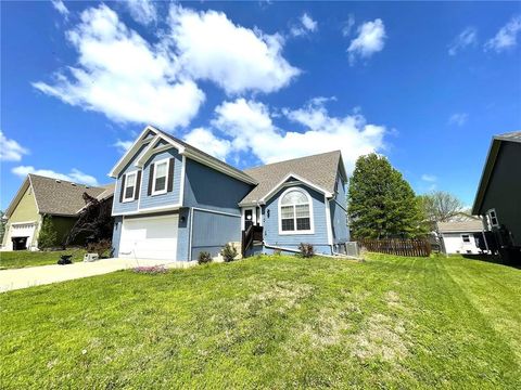 Photo of 711 Shamrock Lane, Warrensburg, MO 64093 (MLS # 2615279)